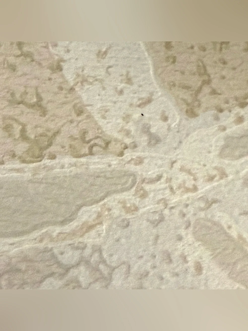 Vintage Schumacher WallPaper Damask Rare MCM Design Retro 60’s / 70’s Prepasted
